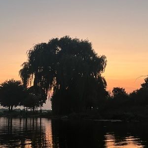 Meet your Posher, Daved